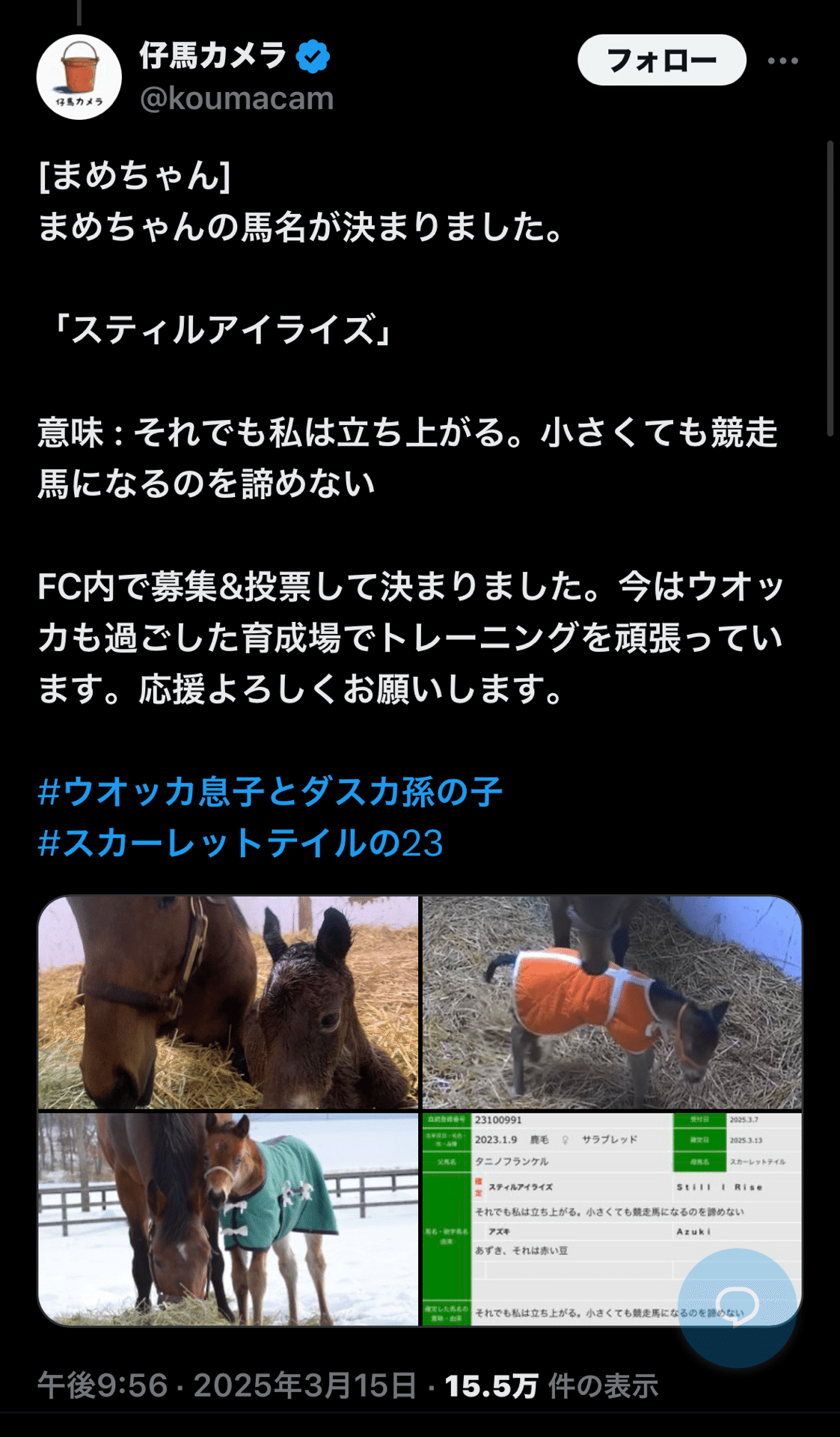 思い出のヴィクトリアマイル】 2009年ウオッカ｜まう