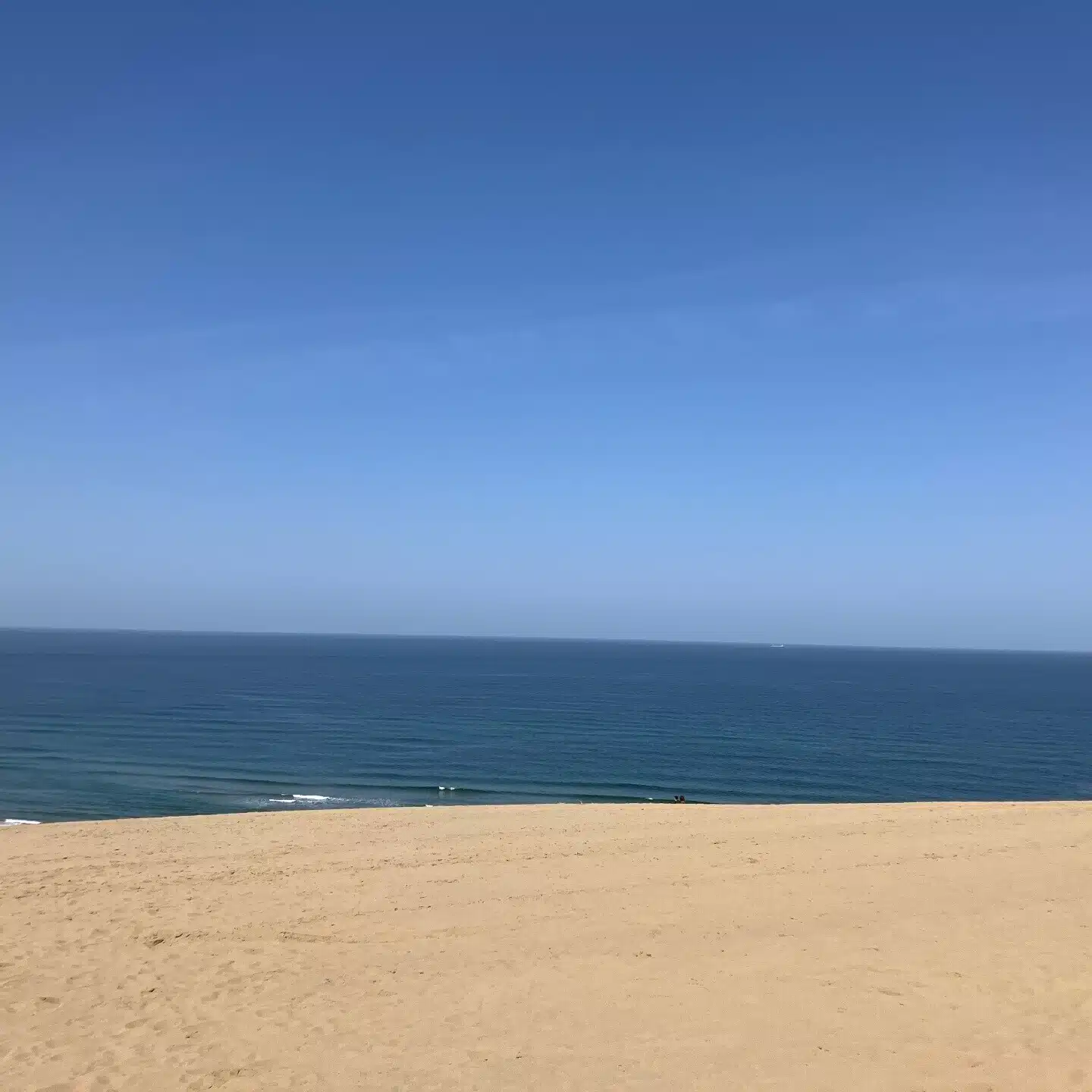 希田夏