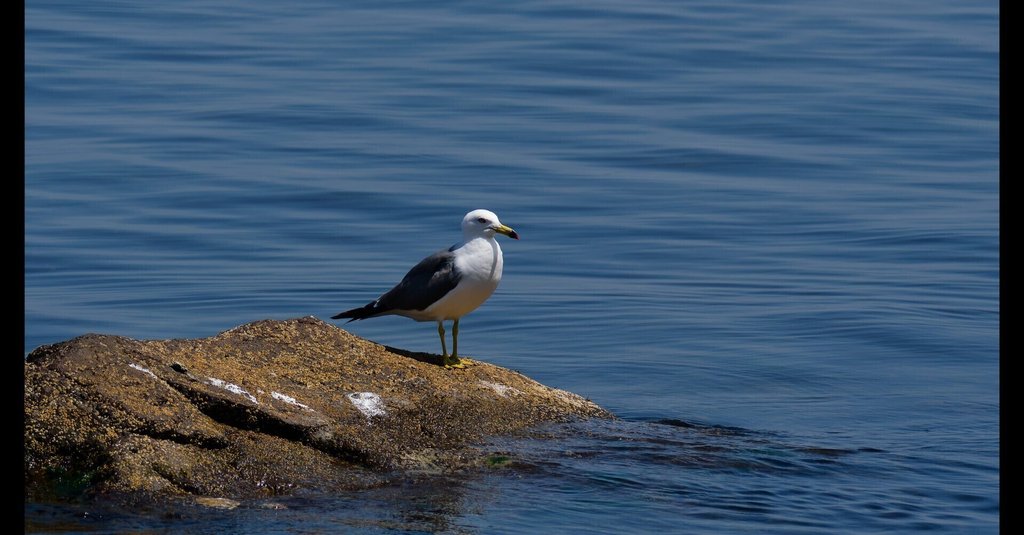 まゆSNS副業で+5万円めざす会社員