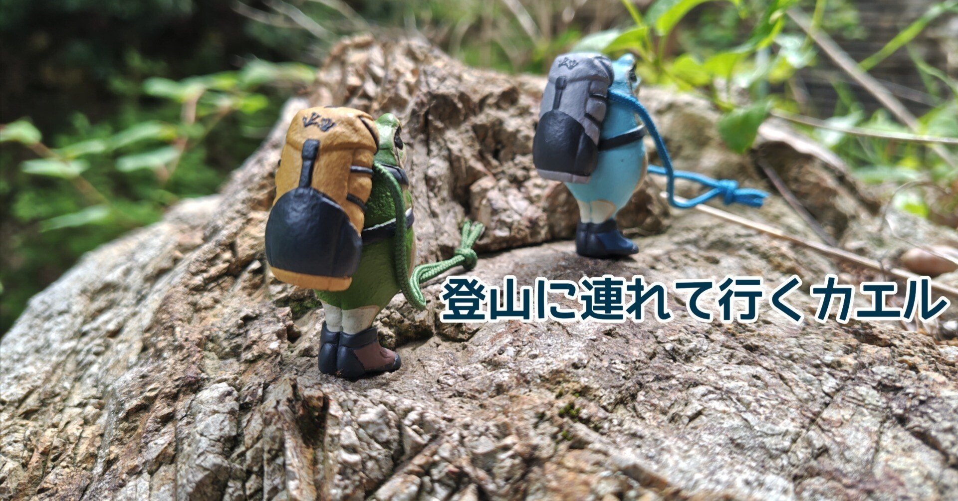 登山に連れて行くカエル｜mochipさんぽ＊山歩と、あれこれ