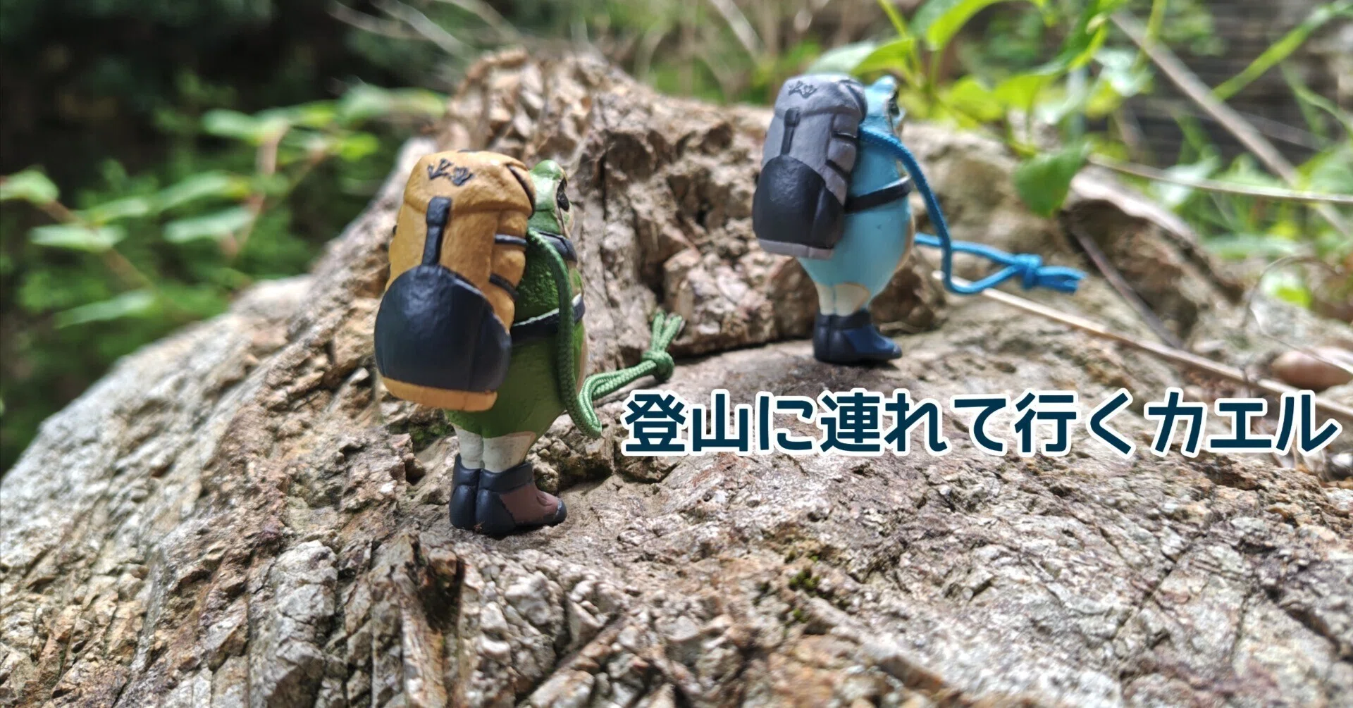 登山に連れて行くカエル｜mochipさんぽ＊山歩と、あれこれ