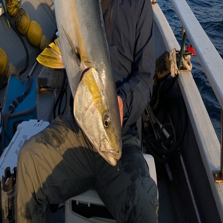 完全フカセ釣りの魅力を語る｜中島ブラザーズ”弟”の「強いヤツに遭いに