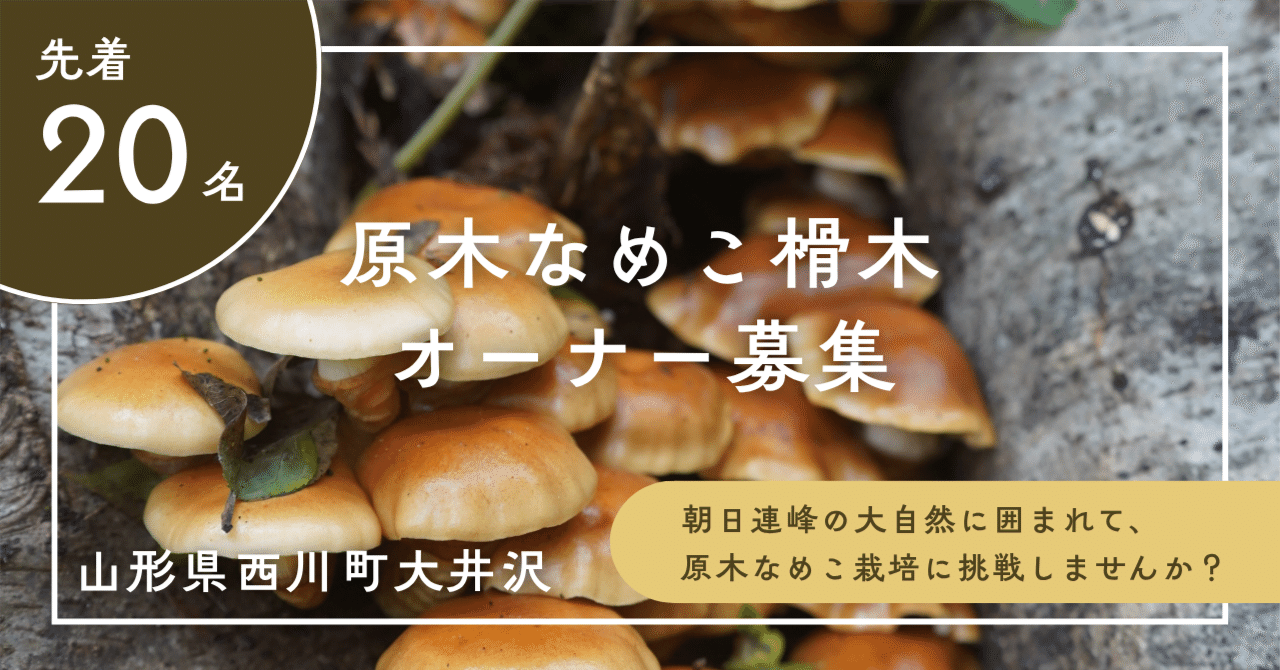 先着20名】原木なめこ榾木 オーナー募集！【山形県西川町大井沢