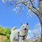 ふうたさん