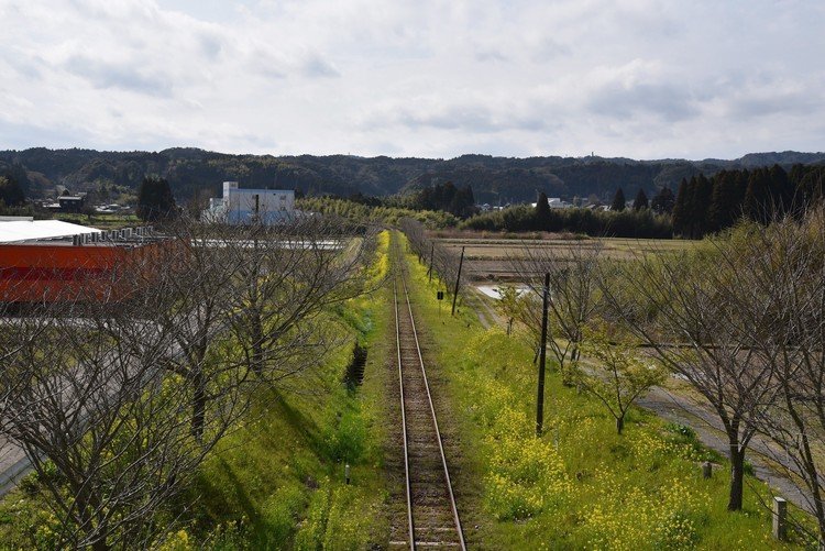 いすみ鉄道沿線から撮影した線路と花