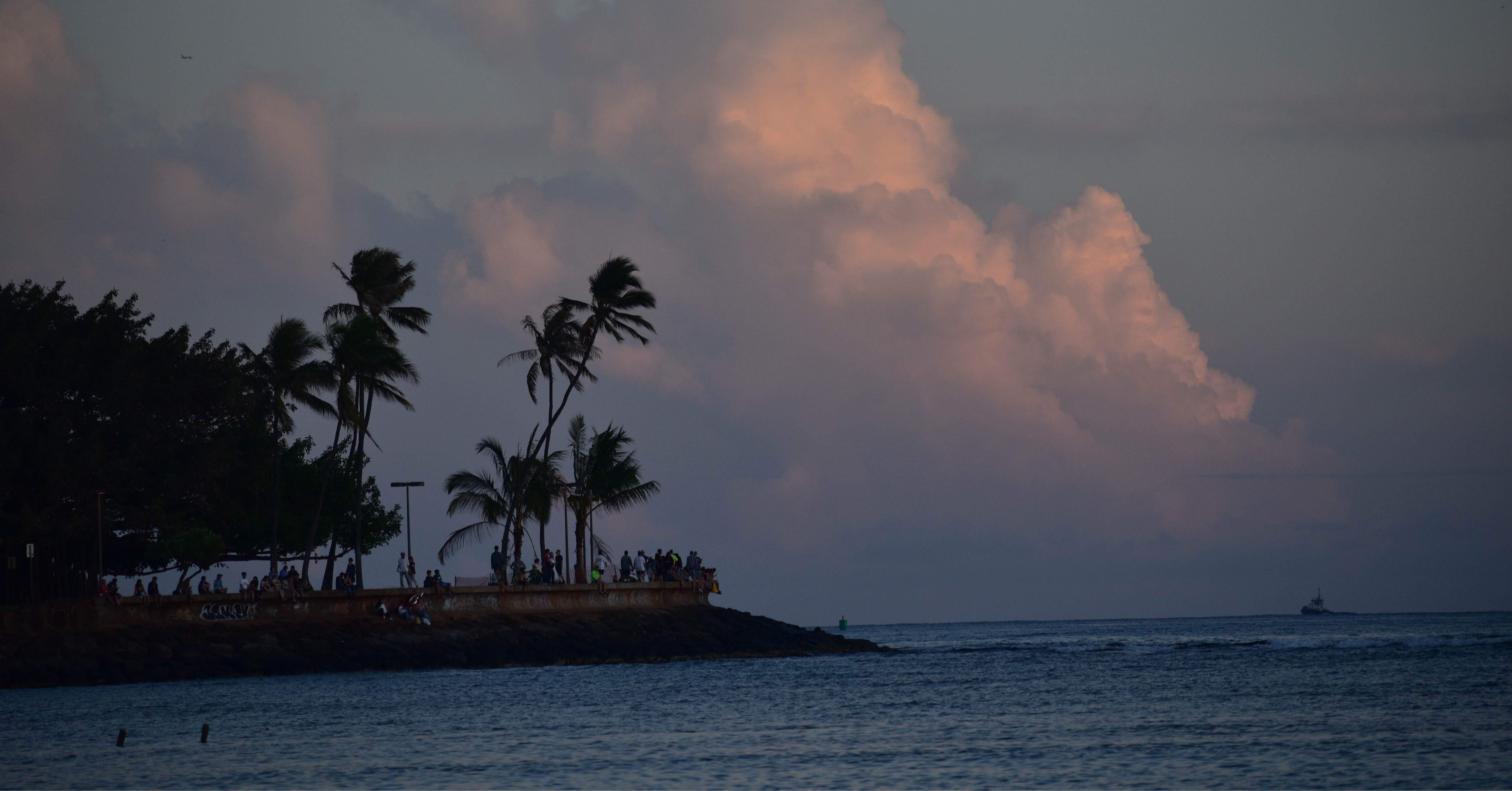 モアナ　ハワイ Ala Moana Regional Park & Beach / アラ・モアナ市立公園&ビーチ
