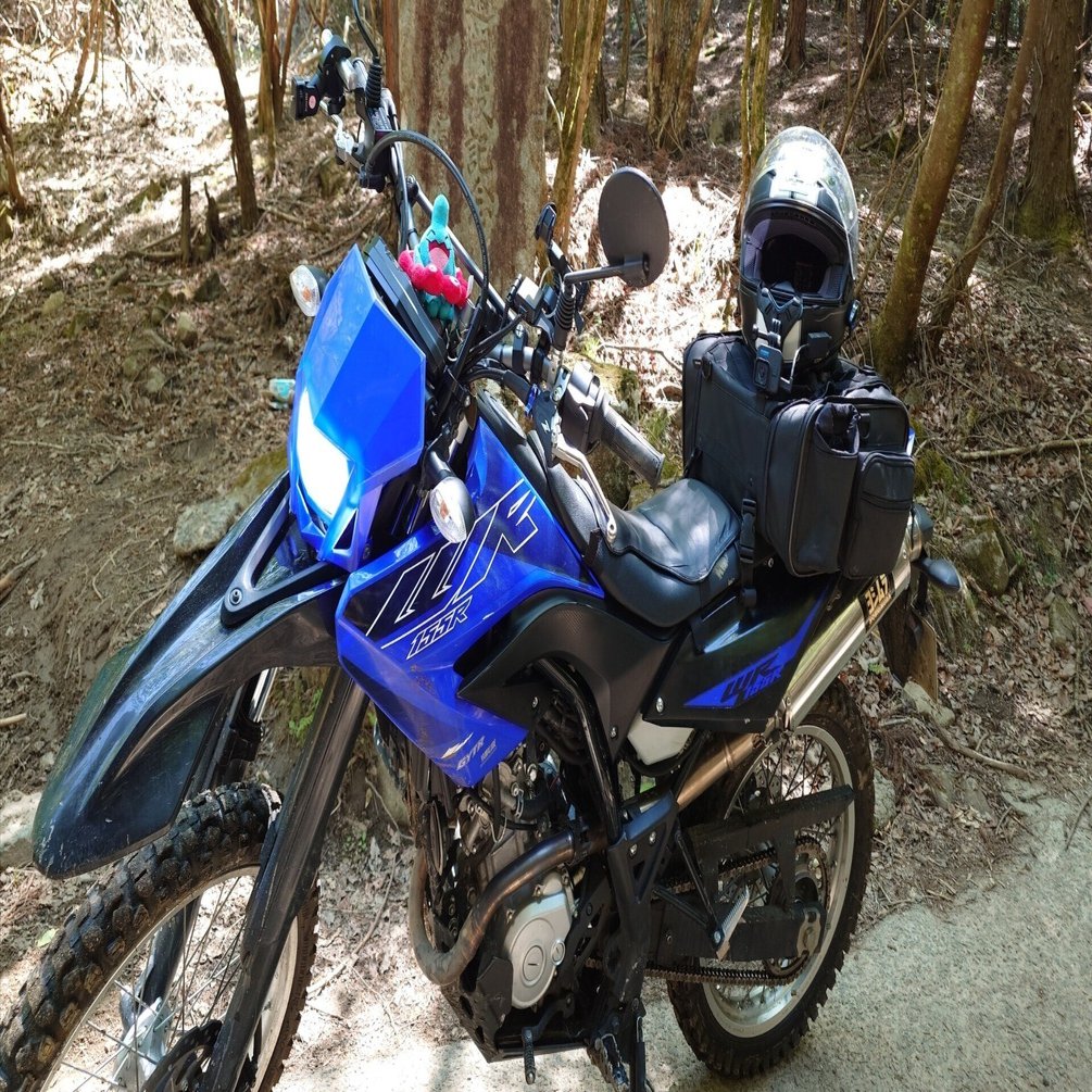 大阪府能勢町 裏山林道】WR155R ヤマハ 2022年インドネシアモデル