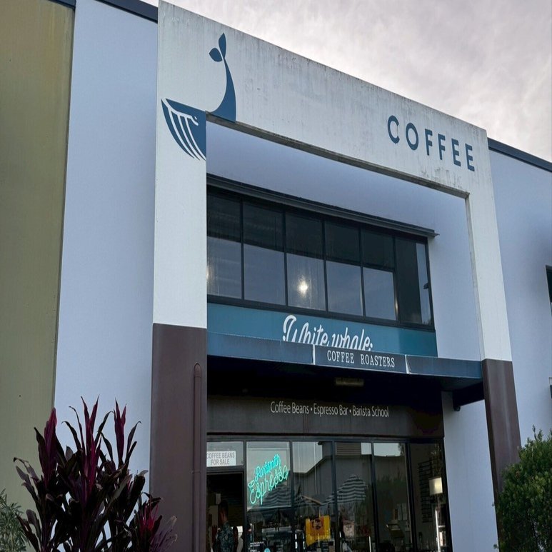 ケアンズ🐨コーヒー飲み歩き旅行記｜かな / 会社員×コーヒー屋