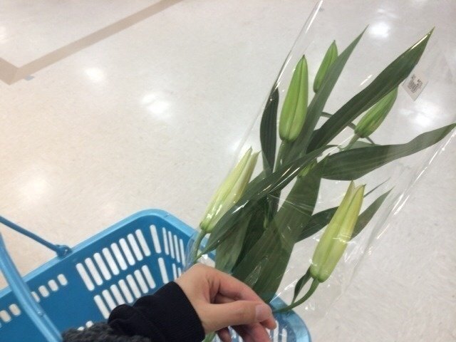 コップで生け花002 ユリ 投げ銭 後藤グミ Note