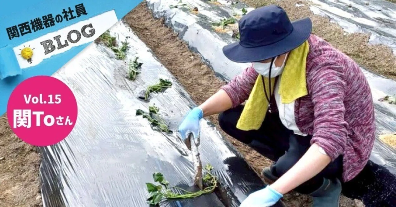 【社員ブログ】農作業🌾🍠|関西機器製作所