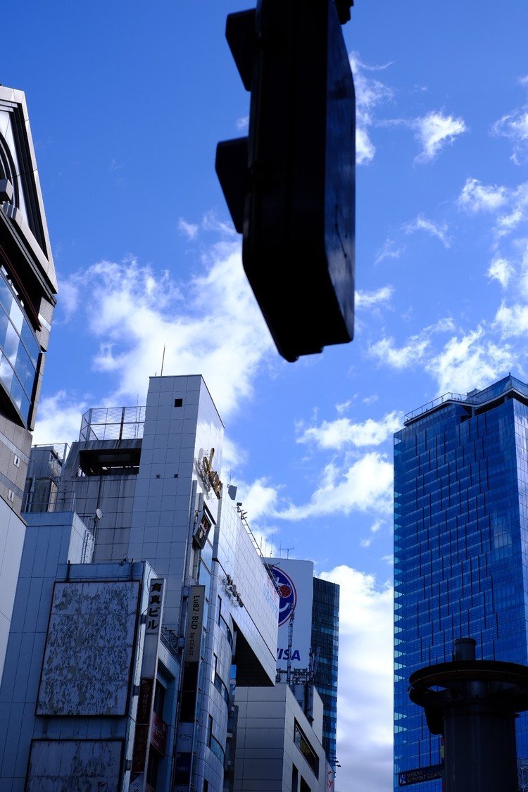 東京には高層の建物が多い。自由な空を容赦なく直線が切り取る。