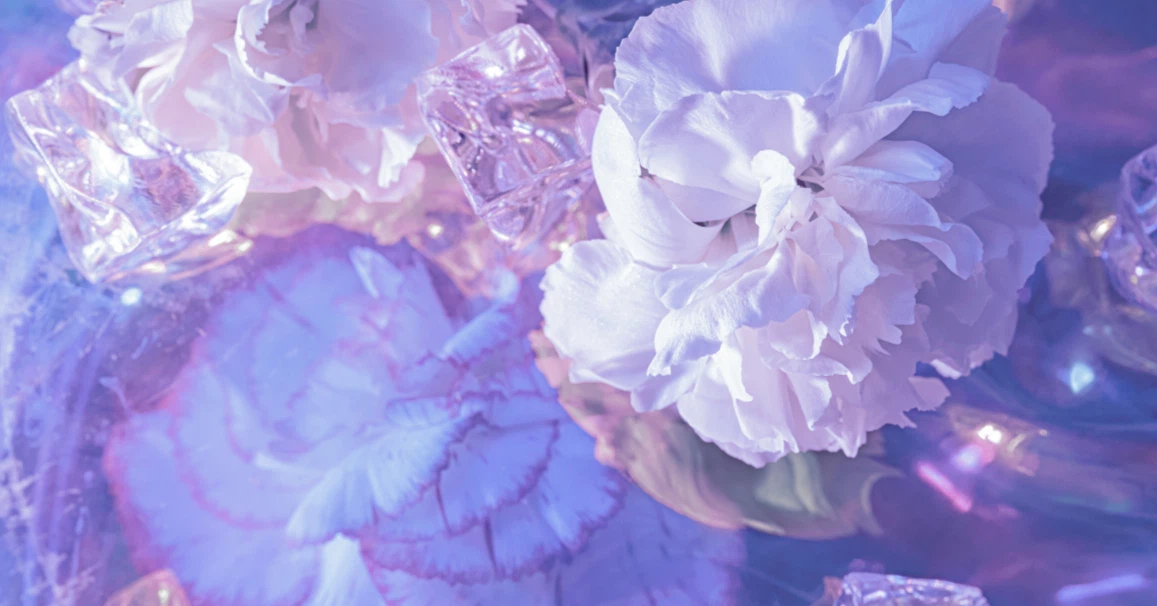 花霞|note