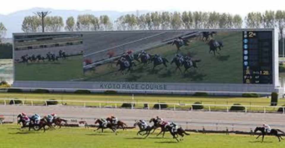 京都競馬場 2月9日 日曜日7 8 9 10 11 12レース予想 指数 血統 馬場状態 競馬場適正 騎手適正などを考えて 予想します 馬連 三連複をされる方には 効果的で 南風ひなた Note