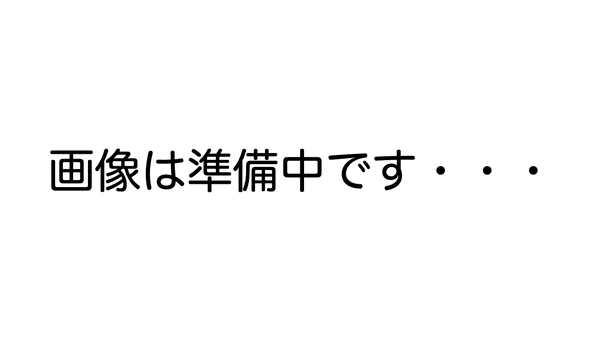 学割プラン