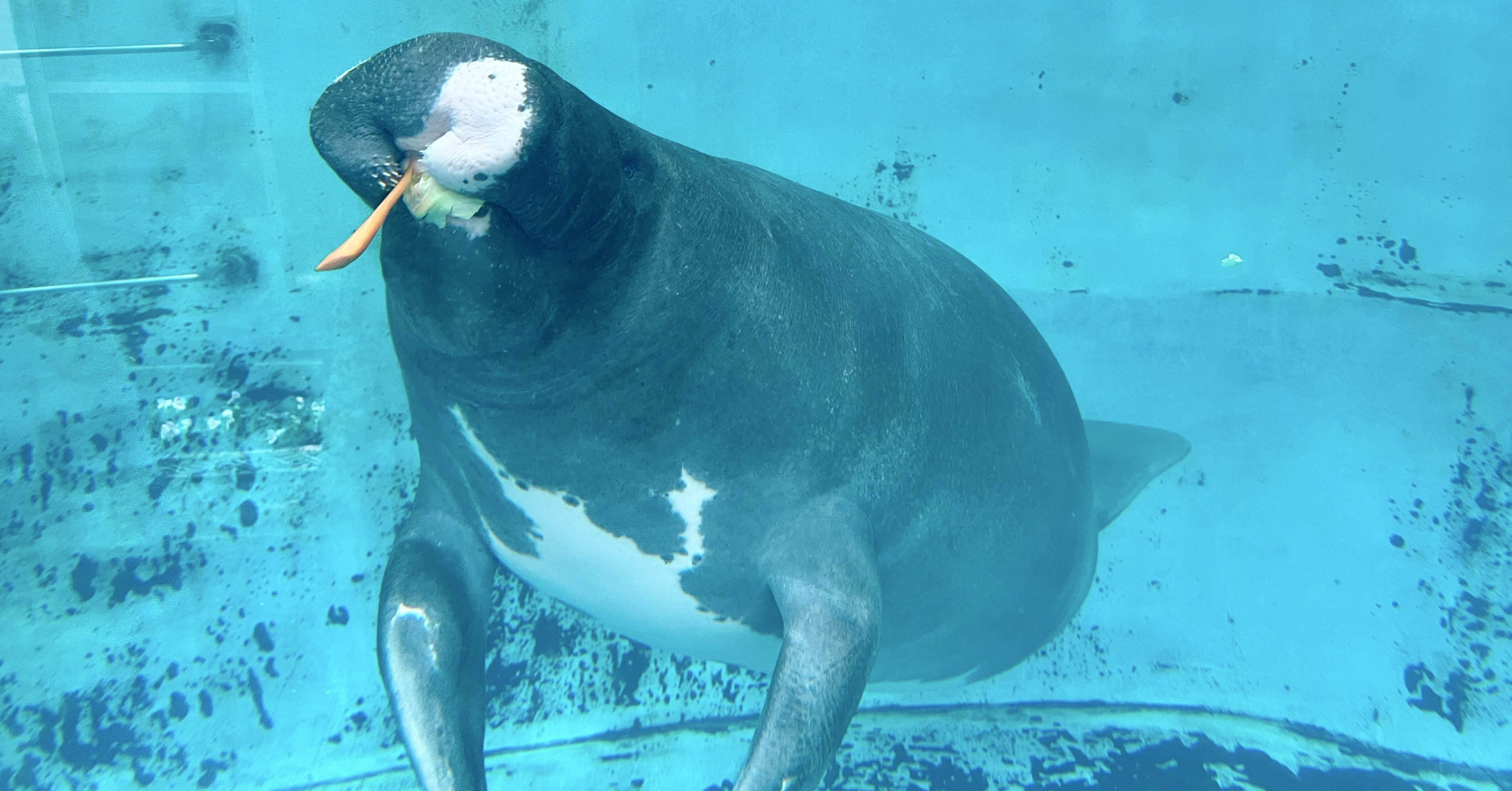 33d4123f62248edaecd2bb446cb043