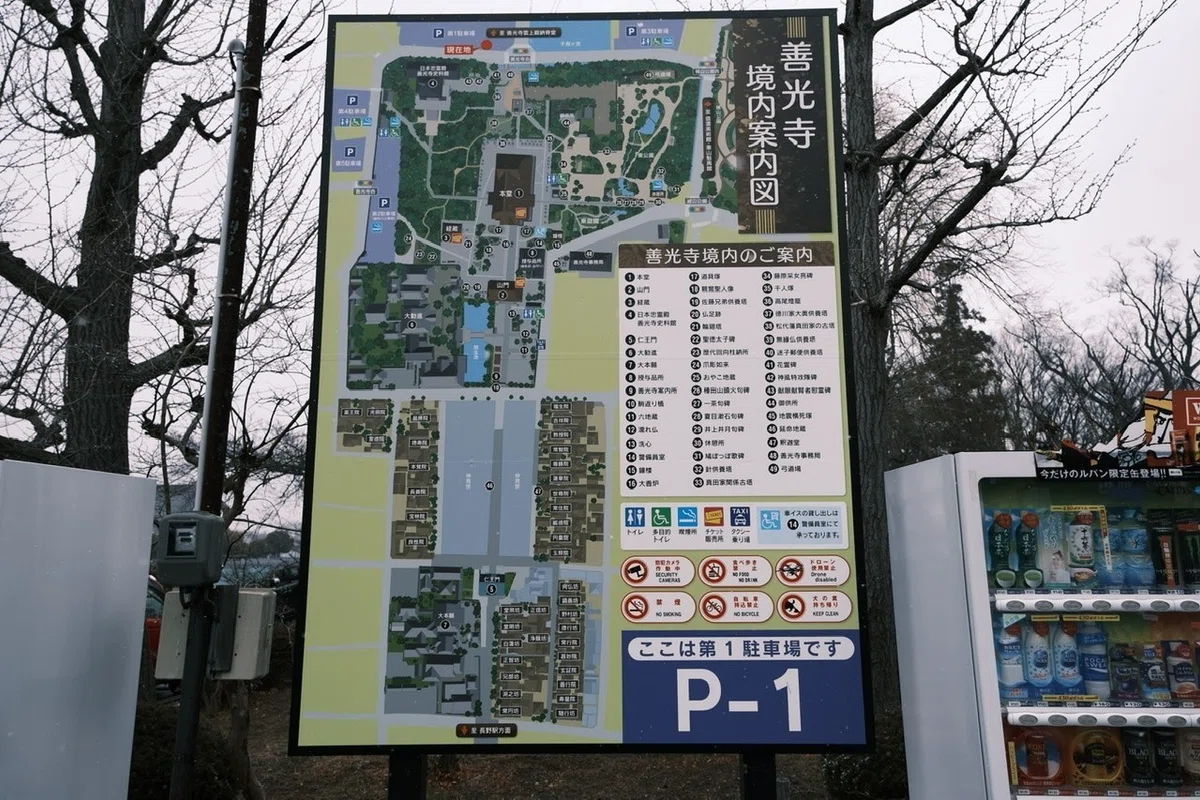 画像11