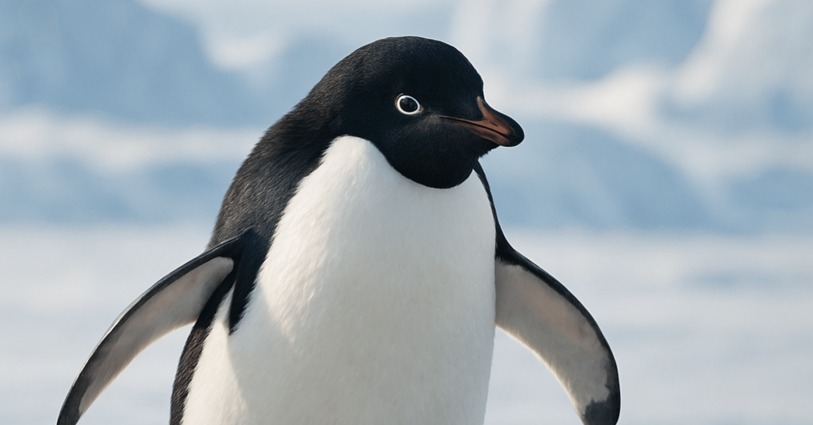 ペンギンが教えてくれる！氷上で滑らない3つの雑学｜oうしおo