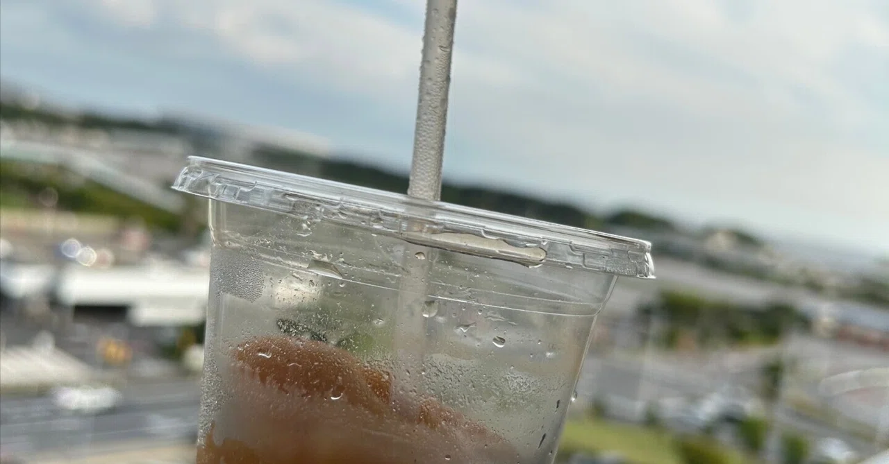 Costco Makuhari update for mid May 2025｜Mona