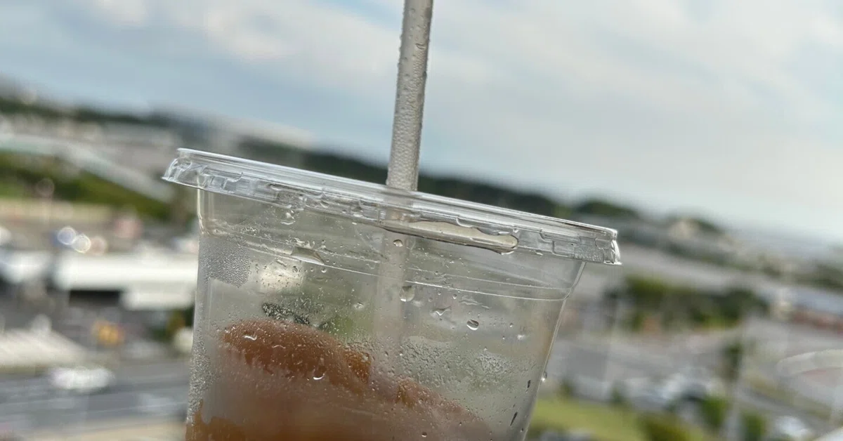 Costco Makuhari update for mid May 2025｜Mona