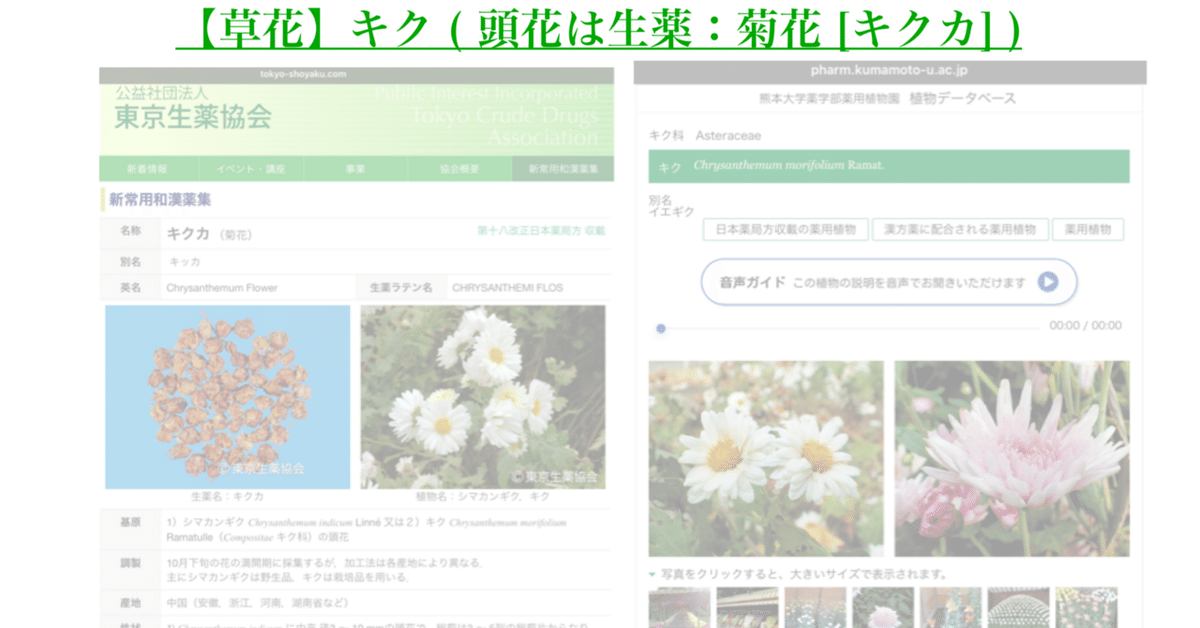 キク大事典 農文協／編　菊　花 キク大事典 農文協／編 菊 花