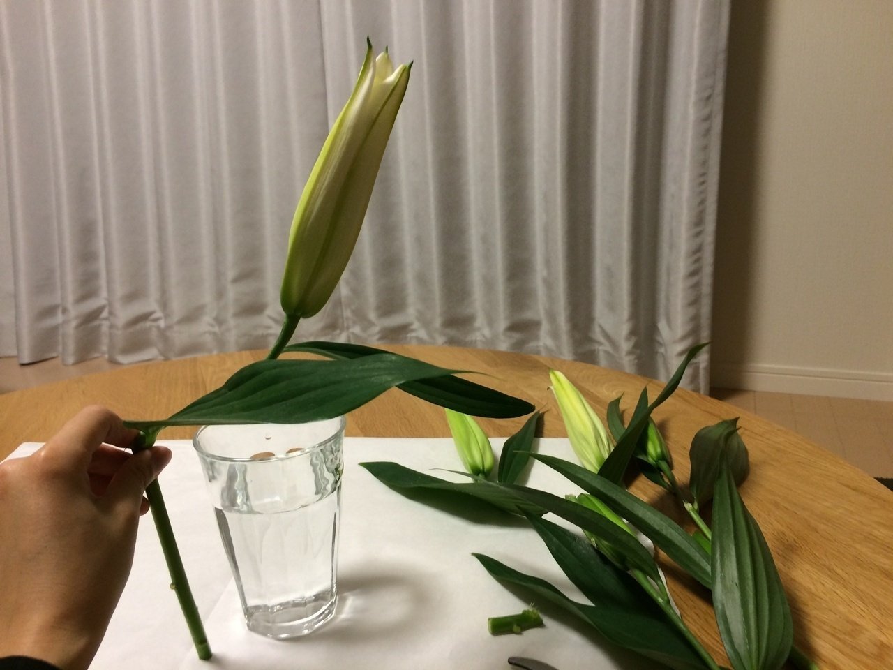 コップで生け花002 ユリ 投げ銭 後藤グミ Note コップで生け花002 ユリ 投げ銭 後藤グミ Note