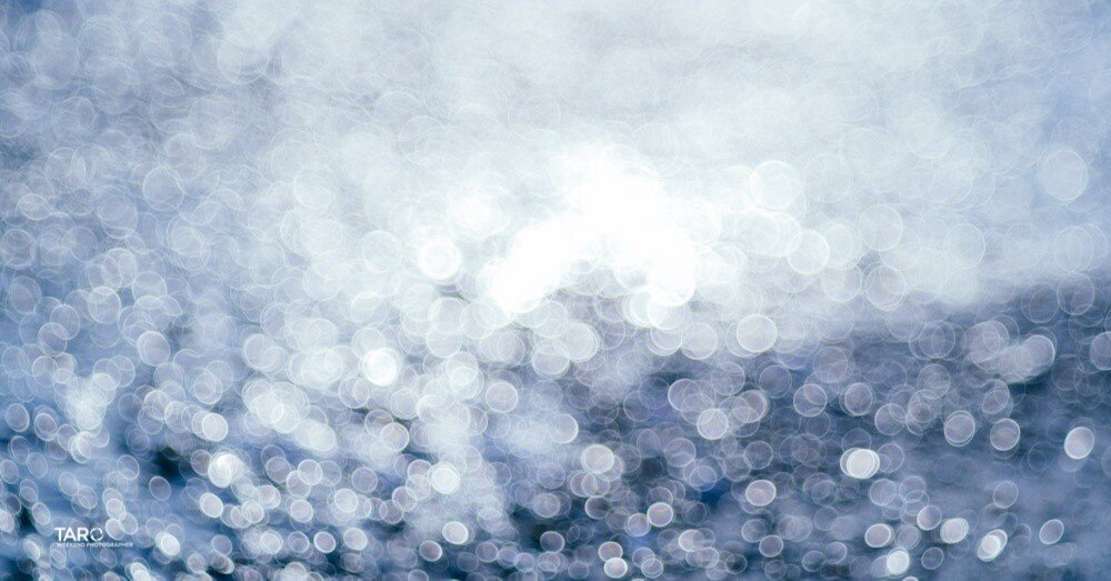 週末撮影師太郎｜バブルボケレンズで幻想的な世界を写す：銘匠光学