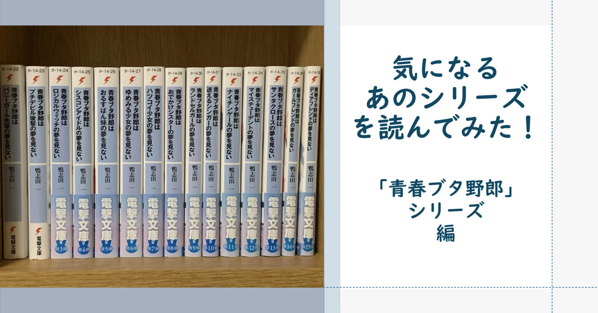 気になるあのシリーズを読んでみた！ ～「青春ブタ野郎」シリーズ編