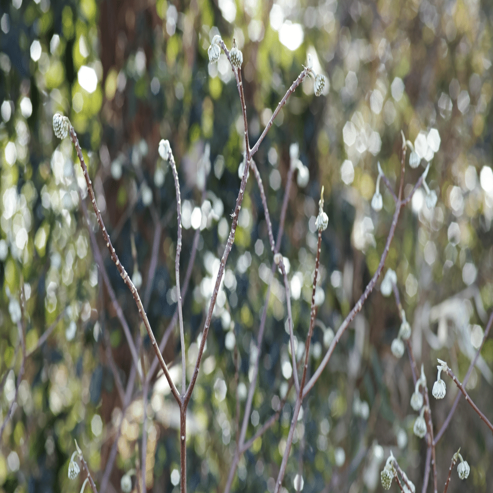 浜学園灘中オープン模試｜honoka