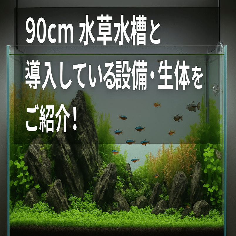 90cm水槽　生体・水草・備品付き 90cm水草水槽と導入している設備・生体をご紹介！｜ちっちの水槽