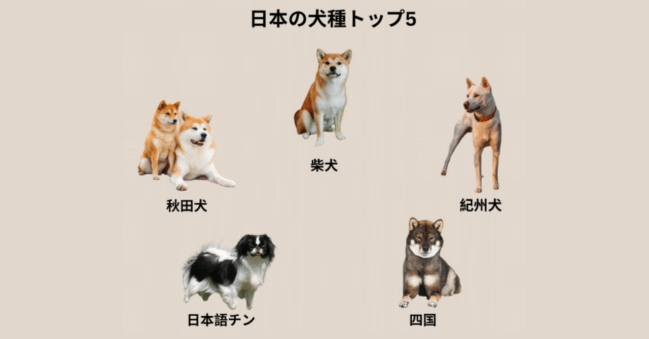 日本の犬種トップ5：日の出ずる国から来た忠実な仲間｜budgetpetworld