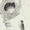 渦巻　眠（uzumaki min）
