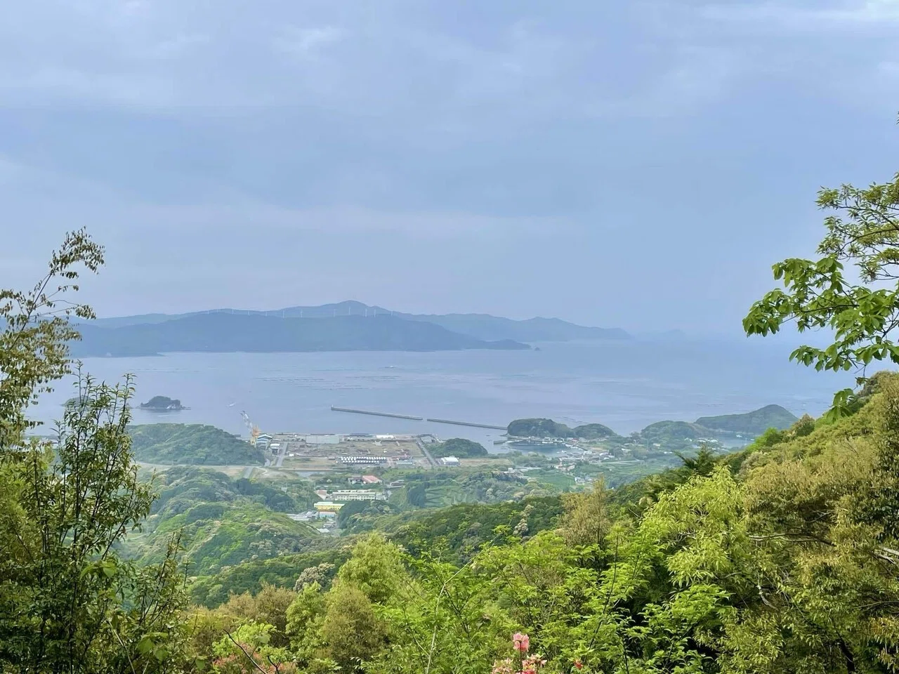 31歳。一人歩き遍路の旅【土佐から伊予へ、24日目】｜ohenro_0919