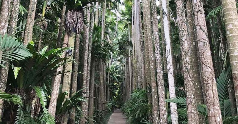 002東南植物楽園