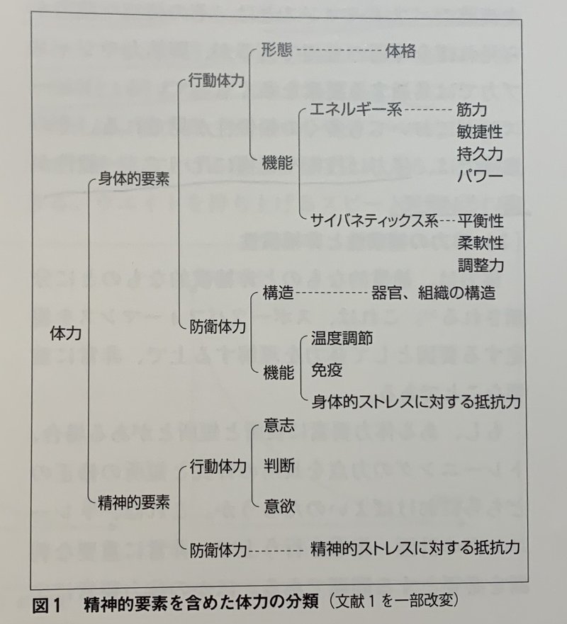 体力ってなに 磯谷貴之 経営者 パーソナルトレーナー Note