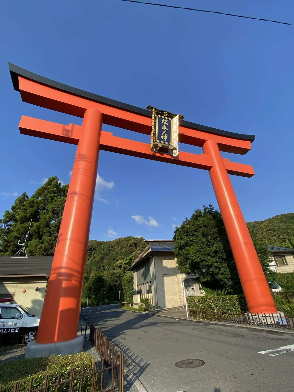 松尾大社②神使の亀と二葉葵の神紋。さらに「別雷山」!|Rico|神仏巡礼結びナビゲーター