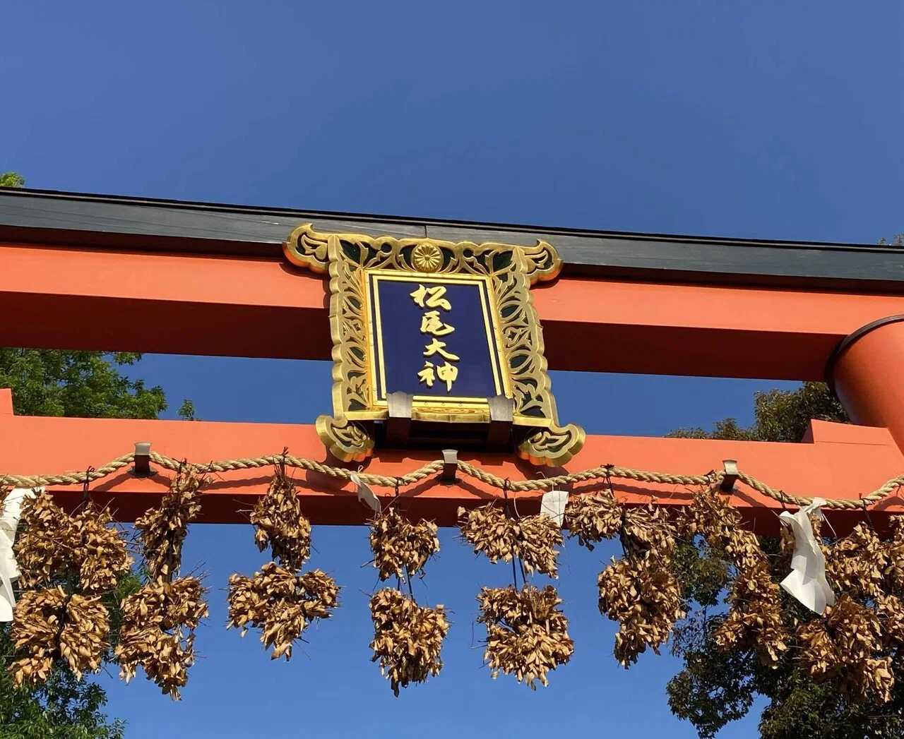 松尾大社②神使の亀と二葉葵の神紋。さらに「別雷山」！｜Rico｜神仏