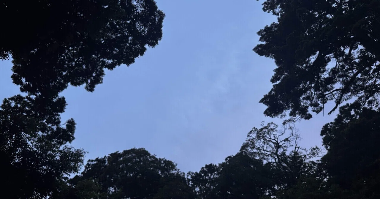 にぎわいの陰にひっそりと受け継がれる浦安の舞｜miyapi_4410