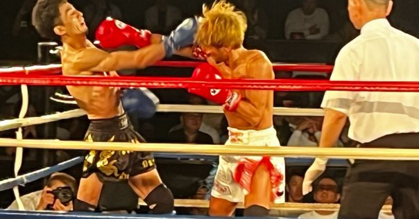 柔術教則レビュー「森戸新士 ワンレッグX ドミナンス」（全文