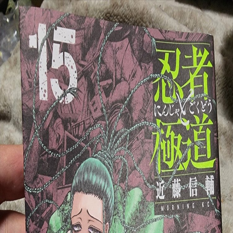 忍者と極道　1〜15巻 忍者と極道(15) (モーニング KC) | 近藤 信輔 |本 | 通販 | Amazon