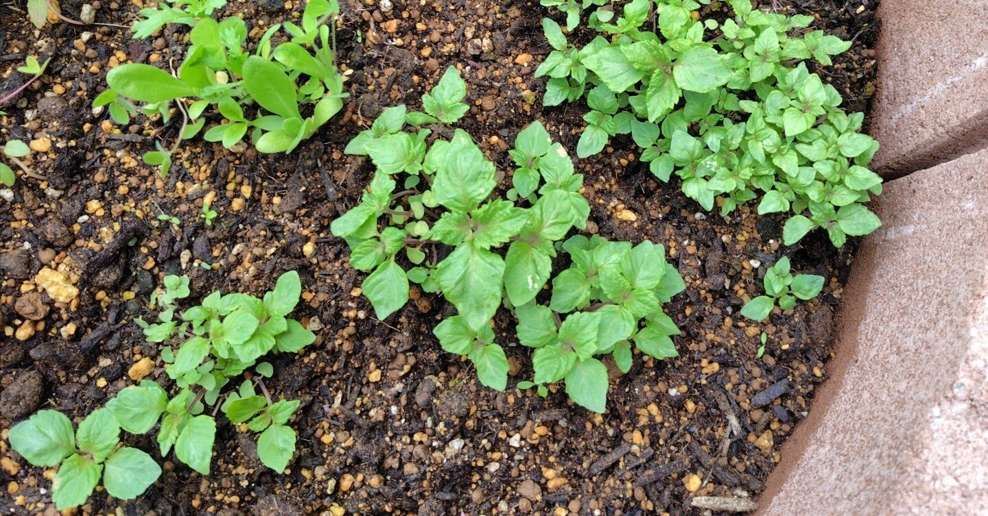 5cb439eb58b6170065bbaeff7d693f