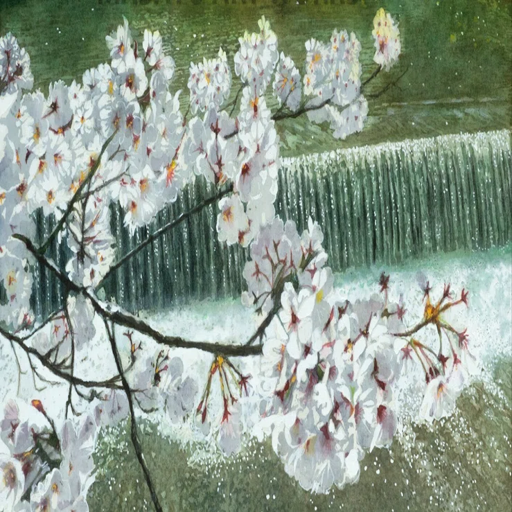 水彩画新作です・・・今年の春に行った京都嵐山、川と桜の風景｜MASATO