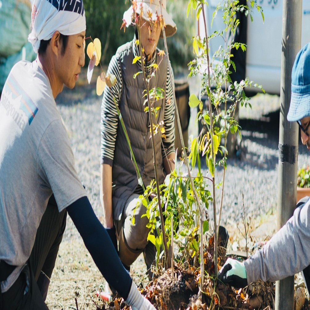 スギナシリーズ #4前編】スギナは、土のリハビリ草──焼け跡に