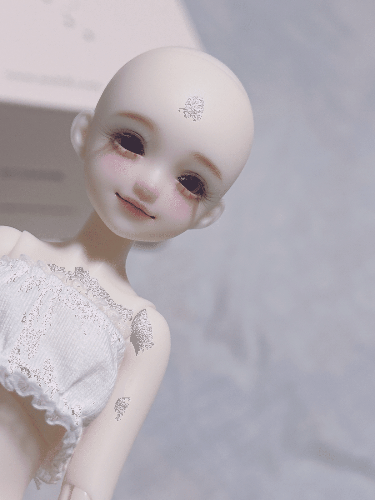 パオラレイナ　カスタム　お迎え決まりました パオラレイナ カスタム お迎え決まりました