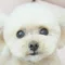 そらとなぎさ