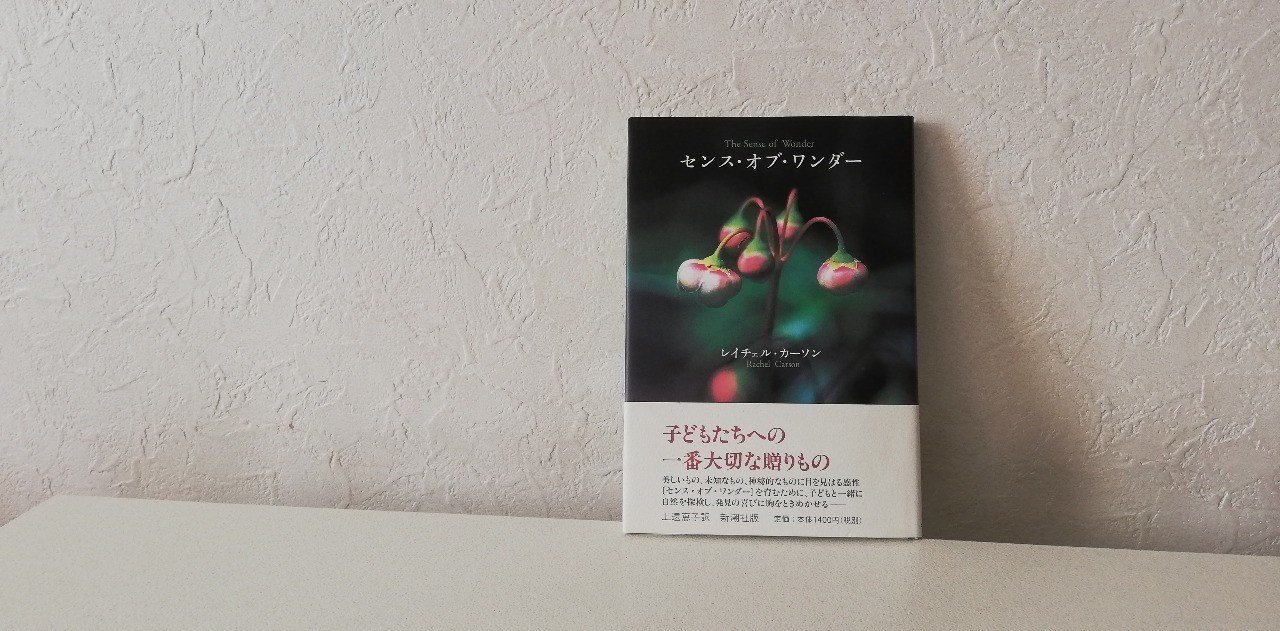 レイチェル カーソンの センス オブ ワンダー を読んで学んだこと Hiroe Nantongo Note レイチェル カーソンの センス オブ ワンダー を読んで学んだこと Hiroe Nantongo Note