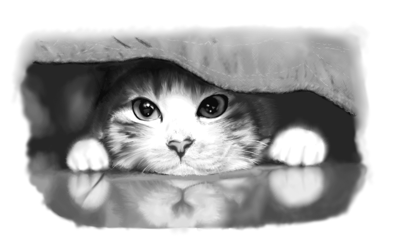 写真みたいな子猫が描ける 描き方教室 Clip Studioで描く もふもふを感じさせる技術 Realdrawing Note 写真みたいな子猫が描ける 描き方教室 Clip Studioで描く もふもふを感じさせる技術 Realdrawing Note