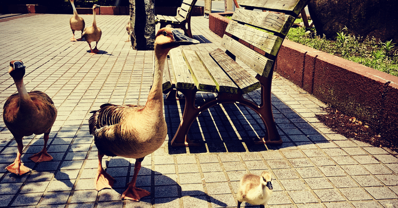 明日から来なくていいよ 黒田英雄 だぁくろ Note