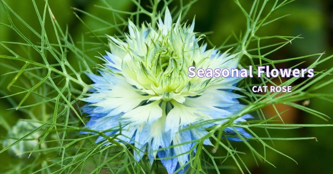 b68dba0dbbd7d6822e66052f65ae27