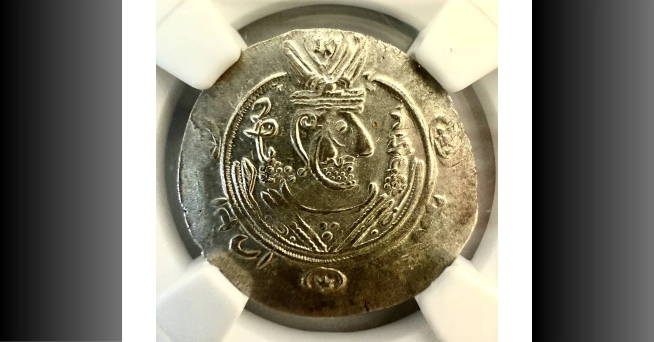 ササン朝ペルシア帝国 ドラクマ銀貨 226年〜651年 古代 タバリスタンのヘミドラクマ銀貨を徹底解説！ ササン朝伝統が残る8世紀