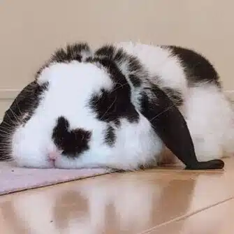 taku_sid🐰